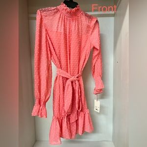 Brand new with tag Alex Marie long sleeve soft coral dress. Petite size 10